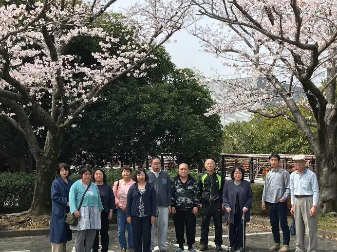 百年公園でのお花見報告